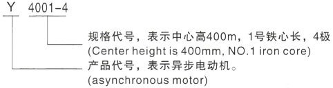 西安泰富西玛Y系列(H355-1000)高压YE2-315L1-4三相异步电机型号说明