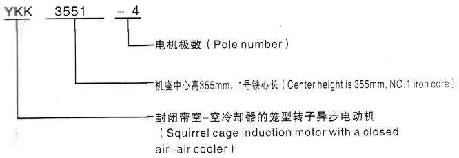 YKK系列(H355-1000)高压YE2-315L1-4三相异步电机西安泰富西玛电机型号说明